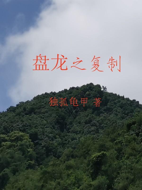 盘龙之全系